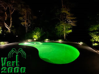 Installation d'éclairage arbres