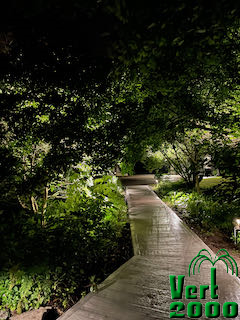 Détail éclairage paysager