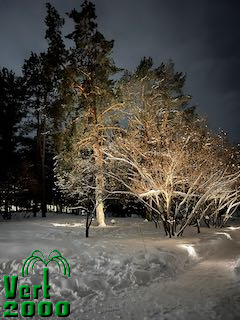 Chemin paysager éclairé