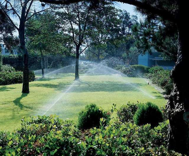 Système d'irrigation automatique